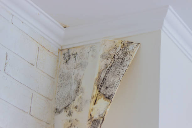 Water damage restoration process